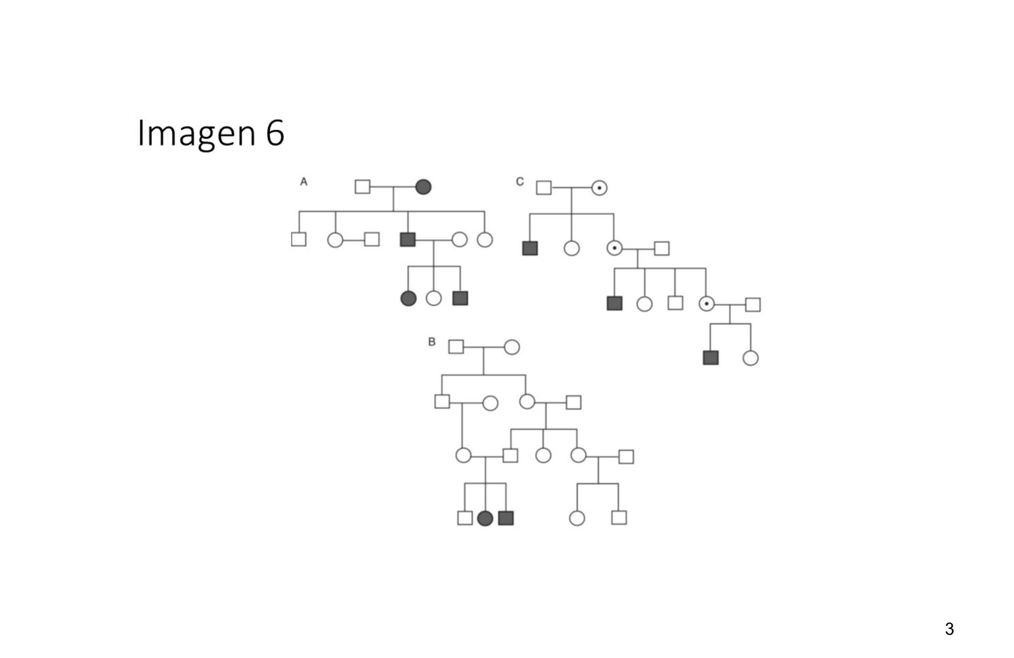 Imagen clínica de la pregunta de Hematología